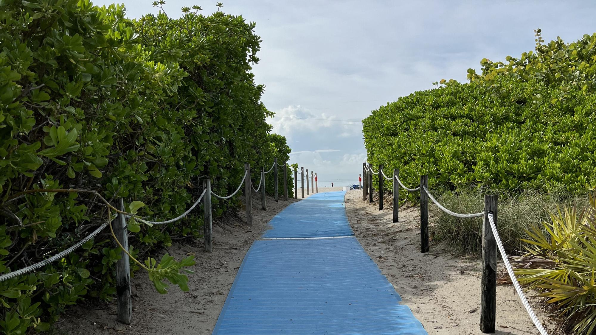 Exploring Florida’s Medical Cannabis Delivery Services: Accessibility and Convenience